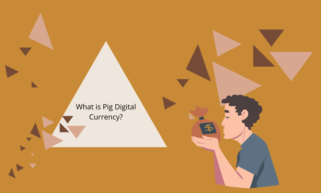 ارز دیجیتال پیگ چیست؟
